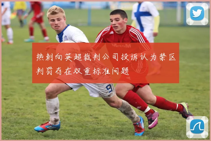 热刺向英超裁判公司投诉认为禁区判罚存在双重标准问题