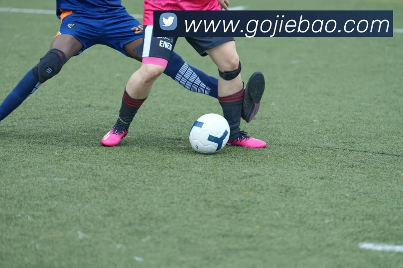 捷报比分APP 高清赛事图