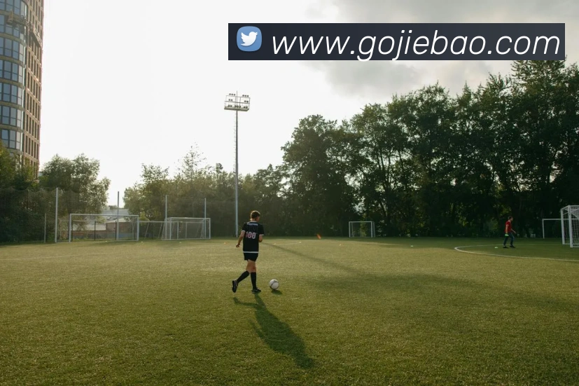 数据防护可视化